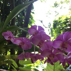 Meet your Posher, Paddy